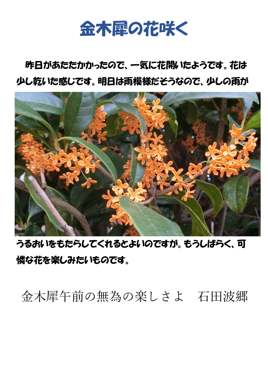 金木犀の花のサムネイル